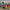 5391cf6b-f0ad-4d11-9092-00b08d83b1d8