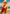 Radience by the Sea Poster