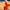 Voyage dans le Desert Poster