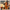 c792e2b7-44f4-41e8-a0b2-c9610b8c214a