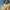 fe7ab957-4438-4d07-bb6d-16fa80f5c792